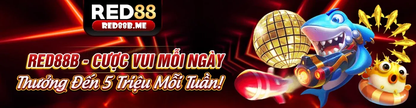 Giao diện nền tảng cá cược trực tuyến Alo8 nhà cái